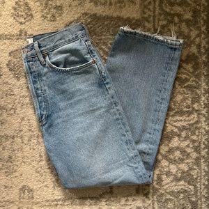 Agolde 90s Crop Jeans in Replica